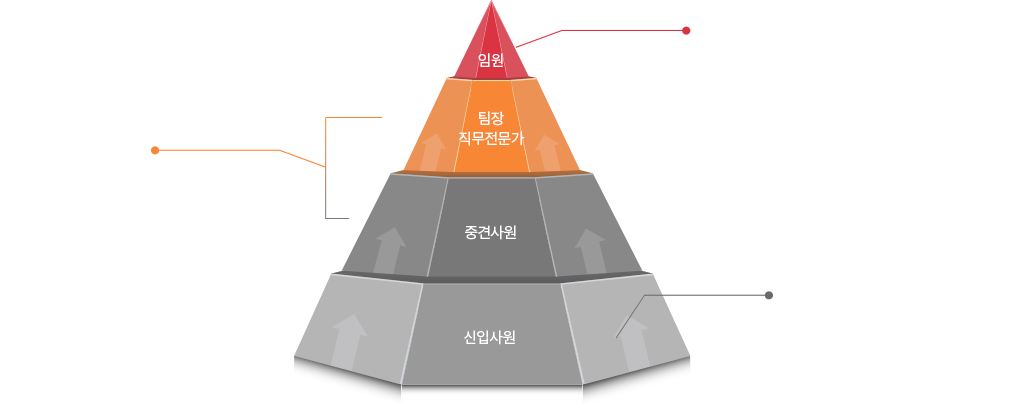 신입사원 → 중견사원 → 팀장(직무전문가) → 임원